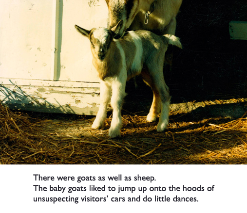 Not all illustrators keep goats… but we did.